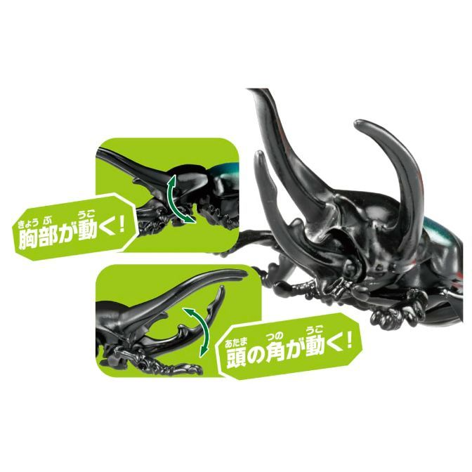  Black beetle toy with moving parts, chest and head horns, as indicated by green callouts with arrows.
