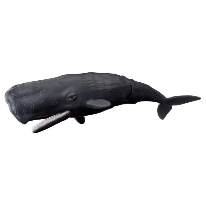 AL-34 Spermwhale