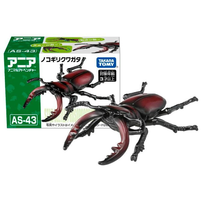 ANIA AS-43 Sawtooth stag beetle