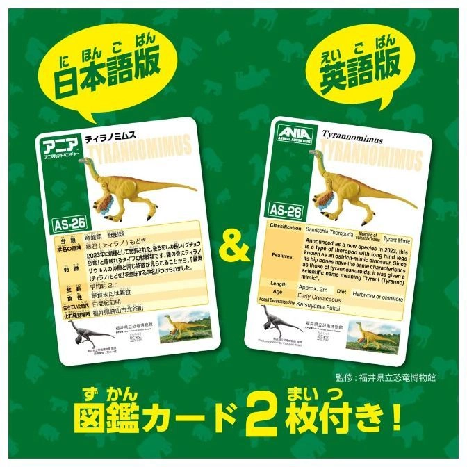 Tyrannomimus toy cards: Japanese and English versions with dinosaur facts and illustrations.