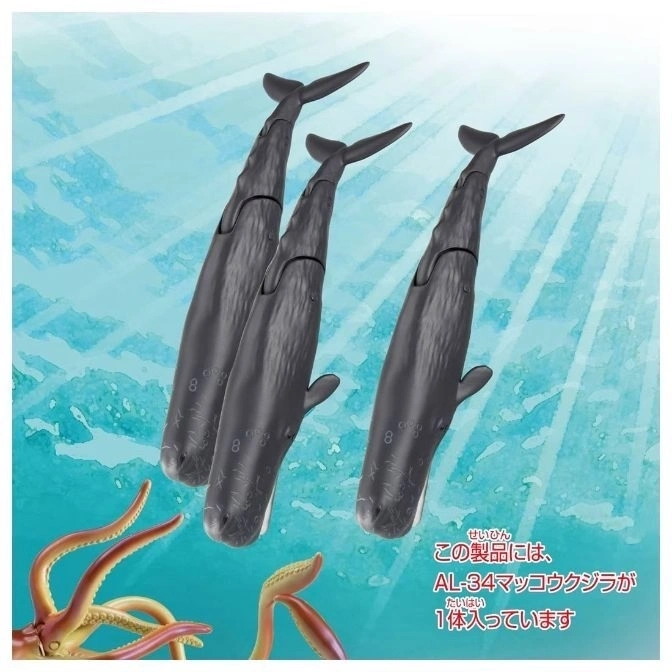 AL-34 Spermwhale