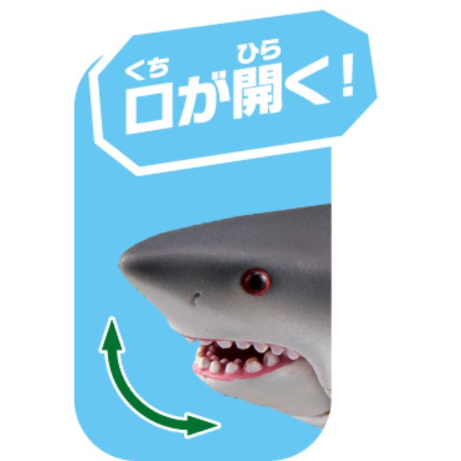  Toy shark with open mouth action. Arrow shows jaw movement.
