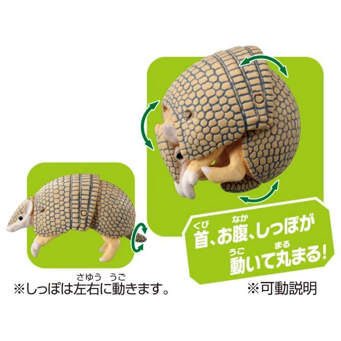  Armadillo toy with moving head, belly, and tail. It can roll into a ball. Tail moves left and right.