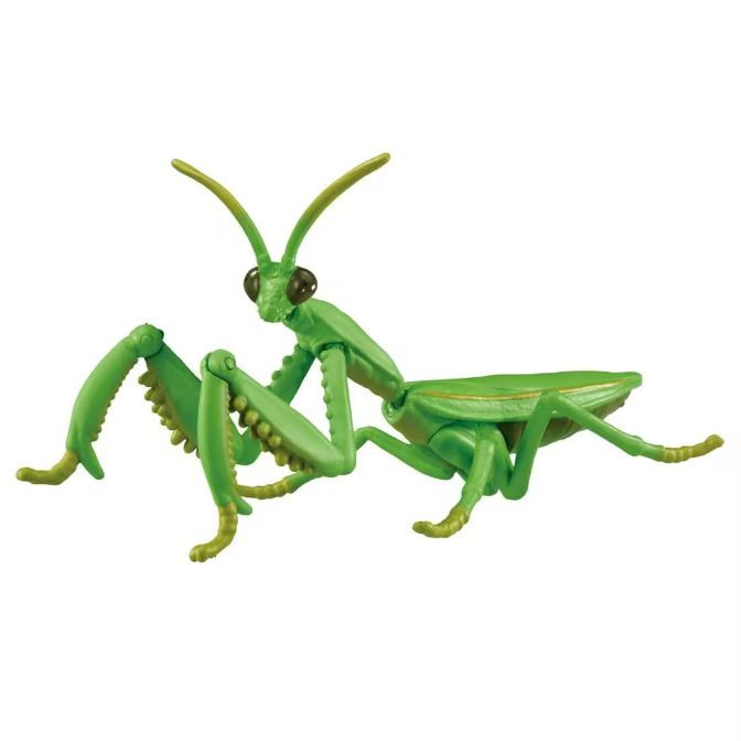 Green toy praying mantis with large eyes and grasping forelimbs.