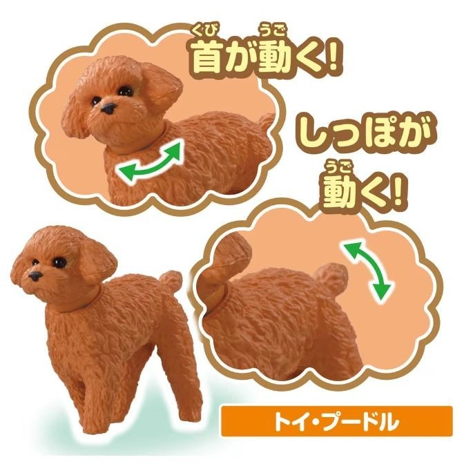  Toy poodle with moving head and tail, displayed in action poses.