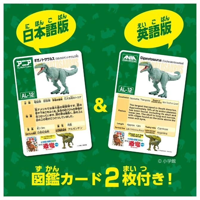  Two dinosaur cards: Japanese & English versions. Features a Giganotosaurus toy figure and facts.