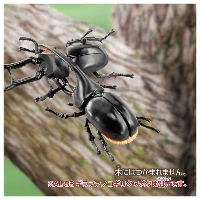 ANIA AL-39 Neptune Beetle