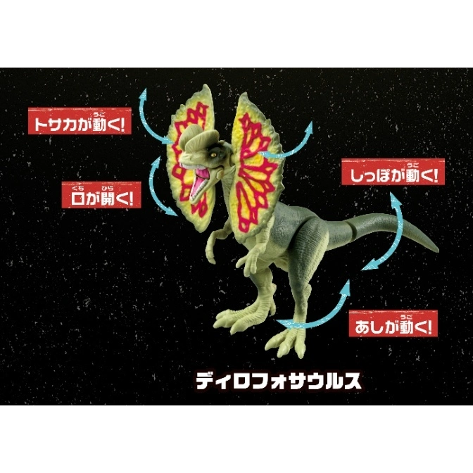  Dilophosaurus toy with frills extended, mouth open, tail and legs posed for movement.