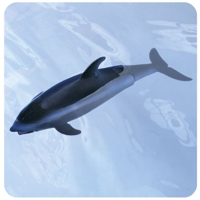  Toy dolphin with dark grey back and light grey belly swimming in blue water.