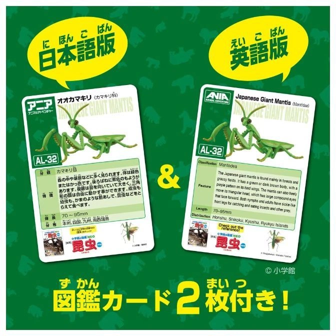  Japanese giant mantis toy cards, one in Japanese, one in English, showing a green mantis.