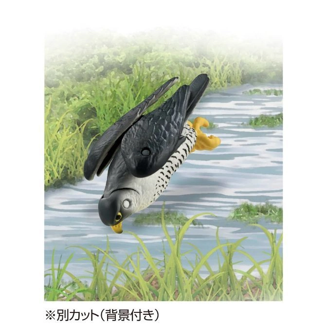  Toy falcon diving towards water, wings spread, detailed feathers and markings visible.