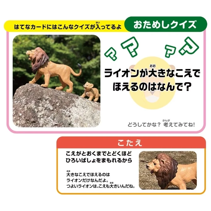  Toy lion roaring on a rock with a cub, next to a quiz about why lions roar loudly.