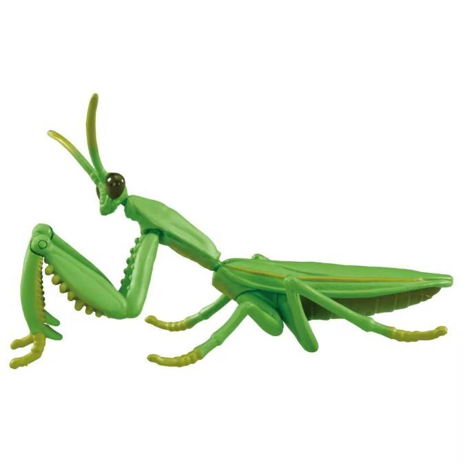  Green plastic toy praying mantis with yellow accents.