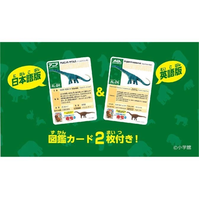  Ania Argentinosaurus toy card set, Japanese and English versions, featuring dinosaur illustrations and facts.