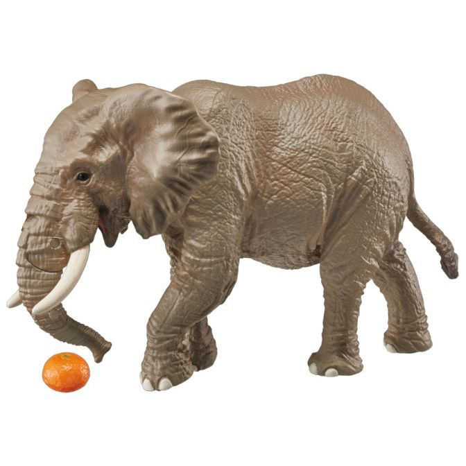 ANIA AS-02 African Elephants (with orange)