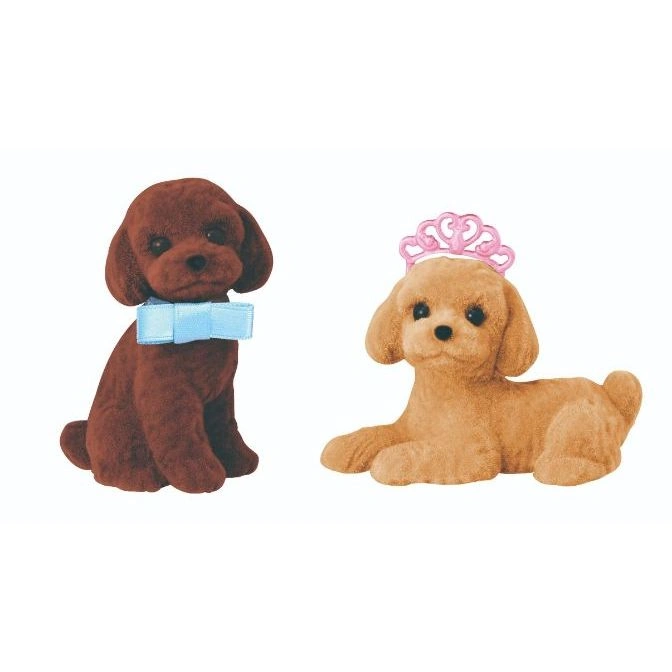  Two toy poodles, one brown with a blue bow tie, and one tan with a pink crown.
