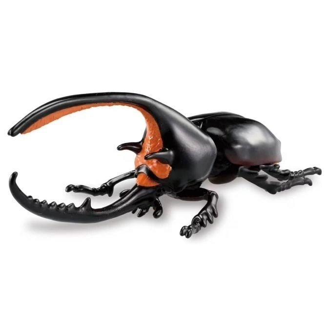 ANIA AL-39 Neptune Beetle