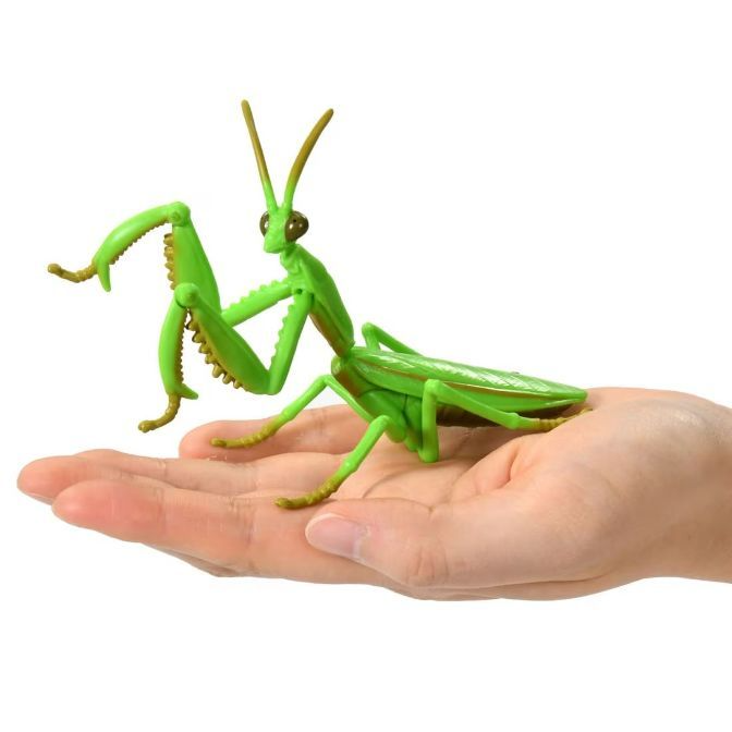  Green toy praying mantis on a hand, showcasing its spiky forelegs and antennae.