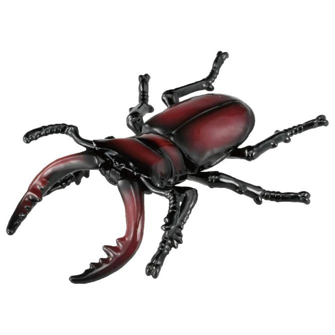 ANIA AS-43 Sawtooth stag beetle