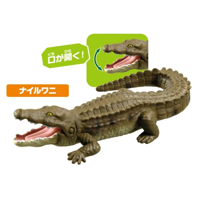  Toy crocodile with open mouth, demonstrating jaw articulation.