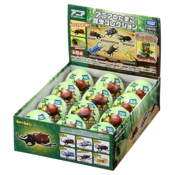  A box of Ania animal adventure insect egg toys, featuring 6 beetle varieties.