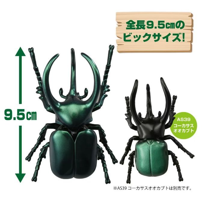  Two beetle toys, one green and one black, with a 9.5cm height marker and a "big size" label.